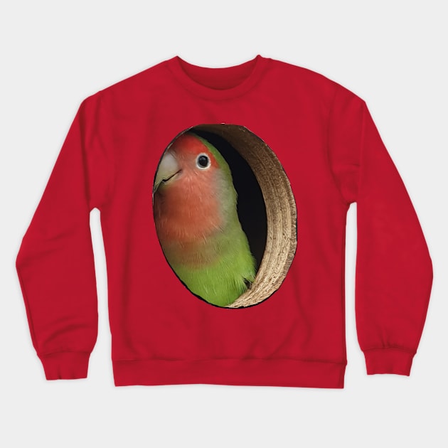 Parakeet Illusion Crewneck Sweatshirt by Gearysworld 